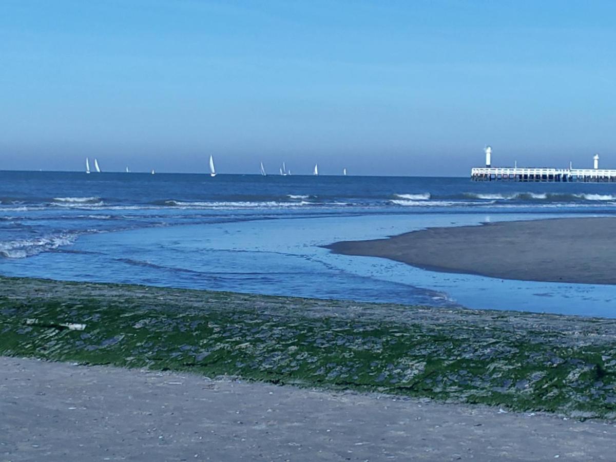 Studio Havenzicht Nieuwpoort Exterior photo
